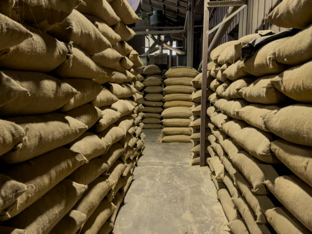 Chemical fertilizer Urea Stockpile white jumbo-bag Large ammonia nitrate in waiting for shipment is placed in the warehouse. Transport for farmers