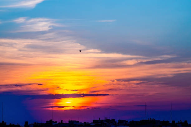 Cloudy sky over city rooftops. Bird flies over silhouettes of buildings at sunset