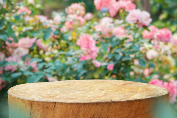 istock Empty old tree stump table top with blur rose garden background for product display 2164371259