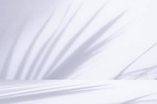 istock White table with palm tree shadow drop on white wall background for mockup product display 2164372627