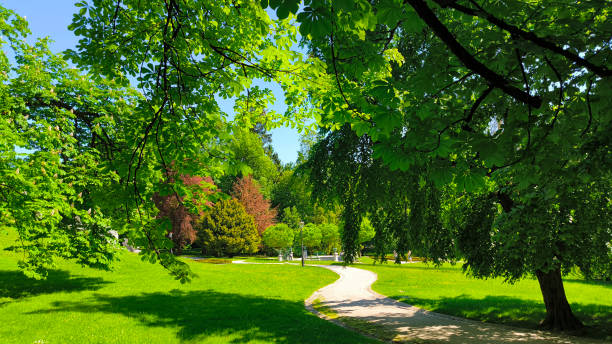 istock spring in Tivoli park in Ljubljana 2164375936