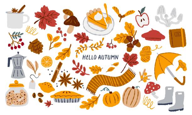 různé roztomilé a útulné podzimní prvky. ručně kreslené vektorové ilustrace. všechny prvky jsou izolovány. - podzim stock ilustrace