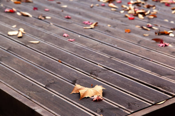 Colorful autumn leaves on white wooden