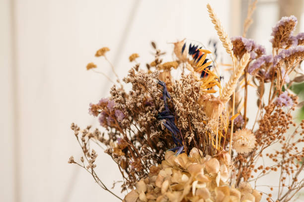 Dried flowers arrangement