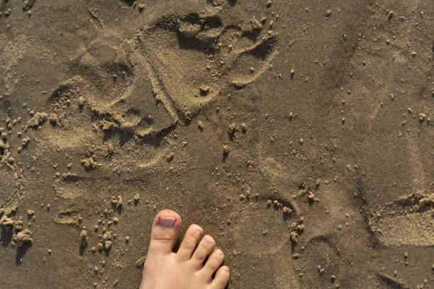Footprints on wet sand sand on beach. Human footprints on sea sand. Tourism and vacation concept