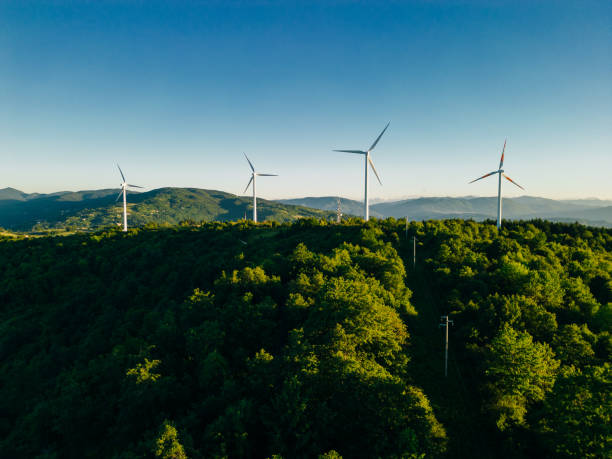 istock Panoramic view of wind farm or wind park, with high wind turbines for generation electricity with copy space 2164381949