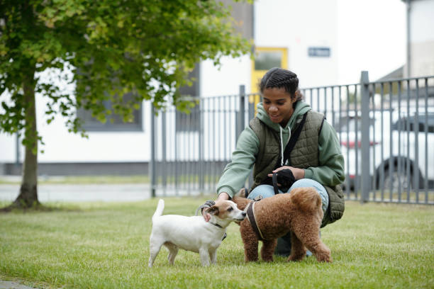 istock Dog sitter cuddling jack russel in park 2164383507