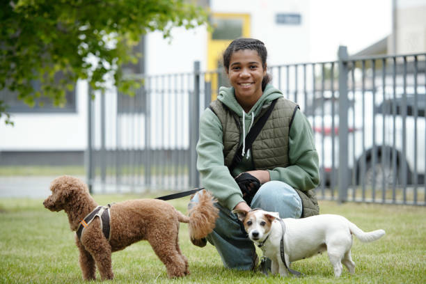Stroll with jack russel and toy poodle