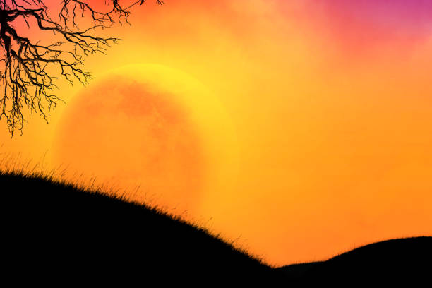 A bare tree is silhouetted against a full moon and an orange Halloween sky.