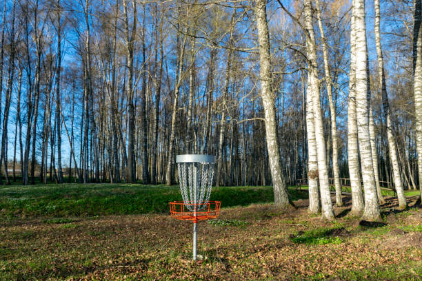 istock a disc golf hole on green grass with birch grove in background, disc golf basket in a park 2164390021