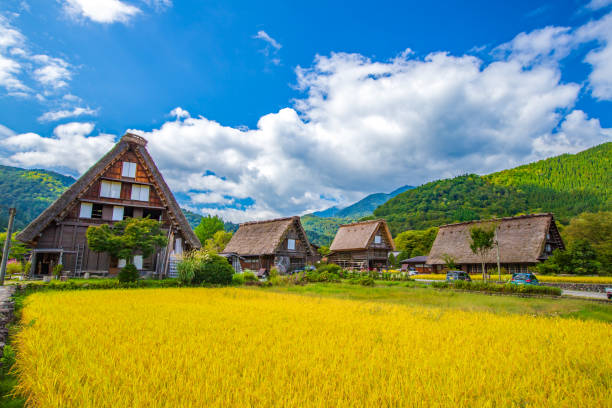 istock Autumn in Shirakawa-go, Gifu Prefecture 2164396526