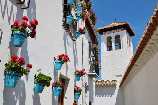 istock Historic Street in Granada 2164398118