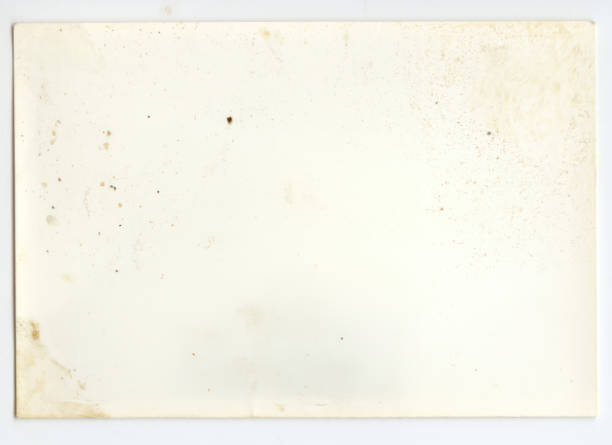 Grunge paper background with space for text or image
