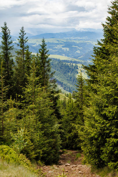 istock fields and meadows of Ukraine 2164398357