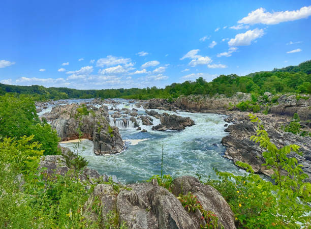Falls on spring