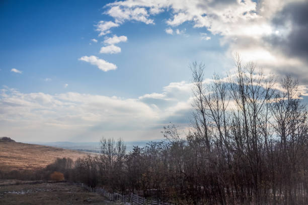 Landscapes - Forest - Europe, Romania