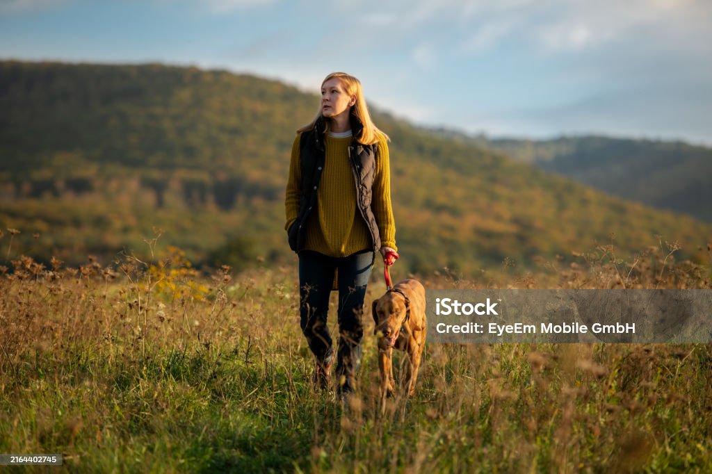 Mature Woman Walking Her Beautiful Vizsla. Dog Walking Background. Woman And Dog Enjoying Walk. Photo taken in Prievidza, Slovakia Autumn Stock Photo Mature Woman Walking Her Beautiful Vizsla. Dog Walking Background. Woman And Dog Enjoying Walk. Photo taken in Prievidza, Slovakia Autumn Stock Photo