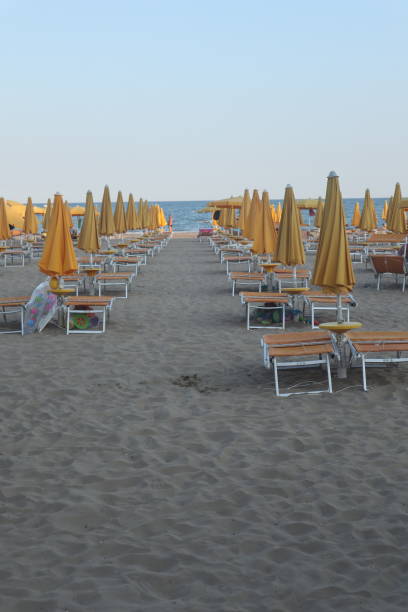 istock Row of yellow sunbeds 2164404685
