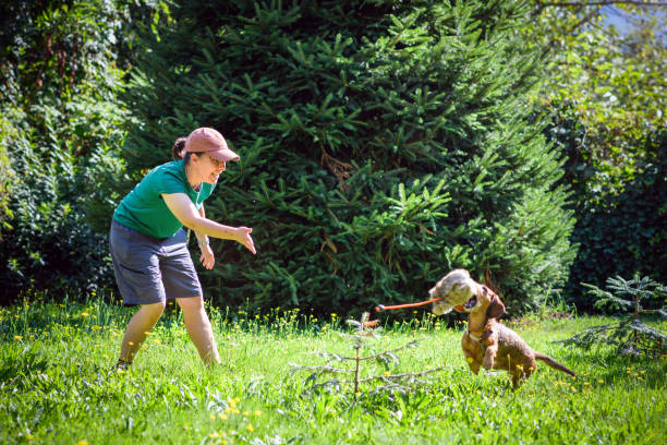 Dog trainer with Dachshund