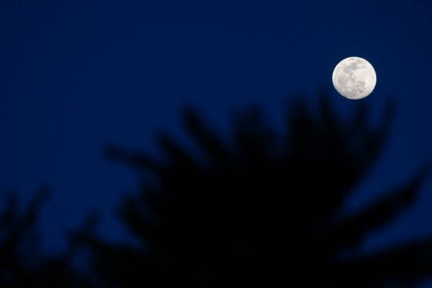 A large moon is shining brightly in the night sky, casting a shadow on the ground. The scene is serene and peaceful, with the moon providing a calming presence in the darkness