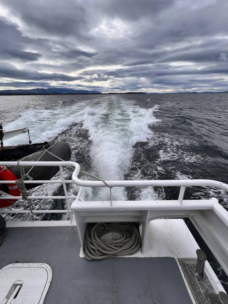 istock View past boat wake to stormy sky 2164419304