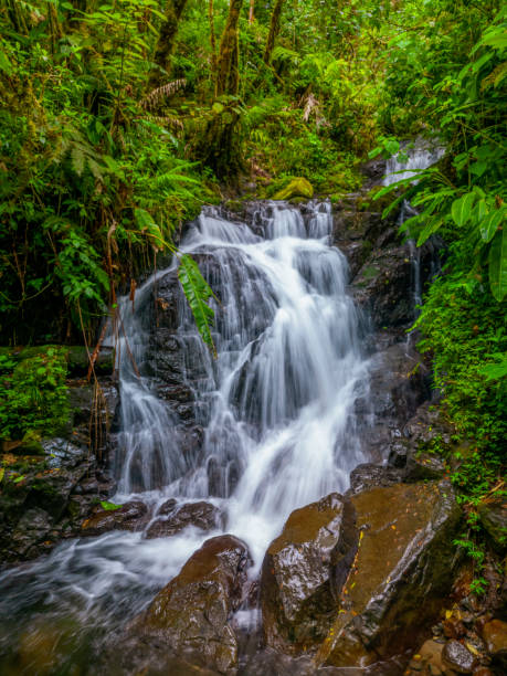 istock Waterfall in between green rainforest, Panama - stock photo 2164421221