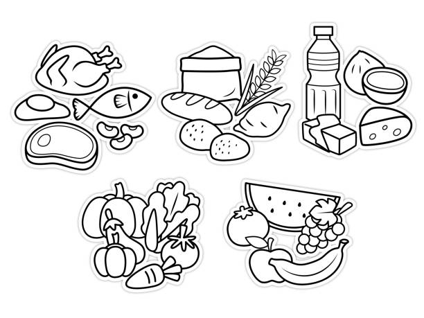 ilustracja wektorowa piramidy żywieniowej przedstawiająca zdrowe nawyki żywieniowe z owocami, warzywami, zbożami, mięsem i nabiałem czarno-biały rysunek dla dzieci do nauki kolorowania zgodnie z obrazkiem. - strona książki do kolorowania technika ilustracji stock illustrations