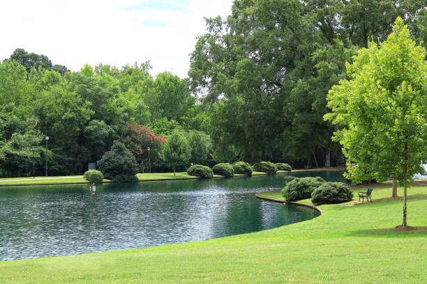 istock Serene and Peaceful Freedom Park 2164443014