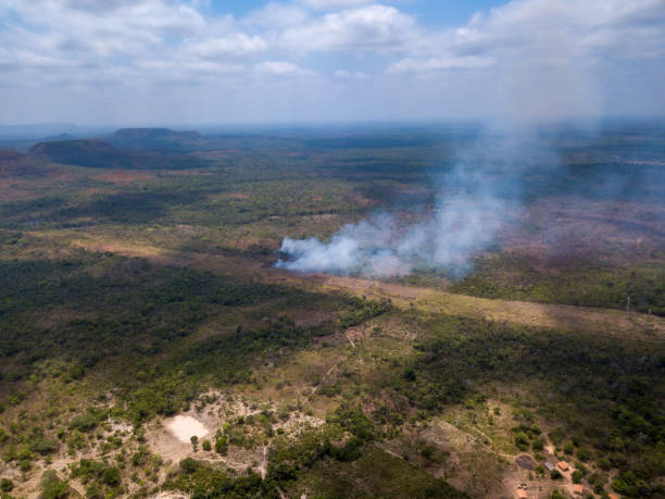 istock Amazon rainforest illegal deforestation fire aerial view to open land for cattle, soybeans and agriculture. Concept of environment, ecology, climate change, global warming, conservation, co2, nature. 2164445327