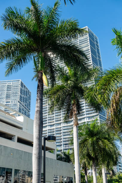 istock Tropical palms and modern skyscrapers in Miami 2164451731