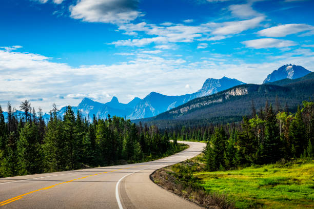 driving with a car on a winding mountain road in Alberta in Canada