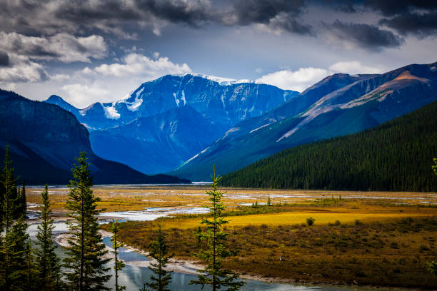 istock beautiful nature in Alberta in Canada 2164453675