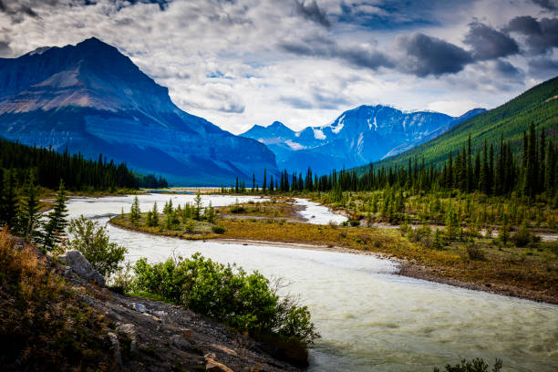 istock beautiful nature in Alberta in Canada 2164453836