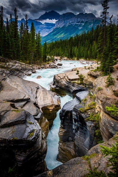 istock beautiful wild Sunwapta River in Alberta in Canada 2164453955