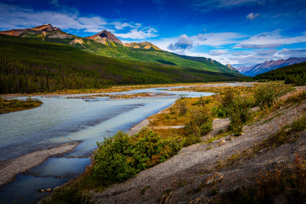beautiful nature in Alberta in Canada