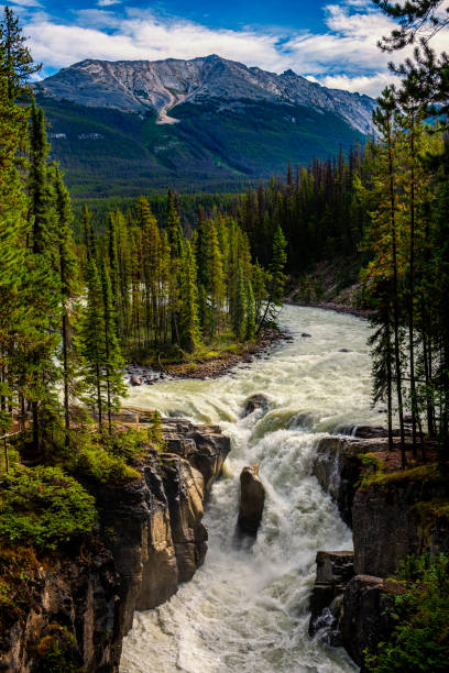 istock beautiful wild Sunwapta River in Alberta in Canada 2164455616