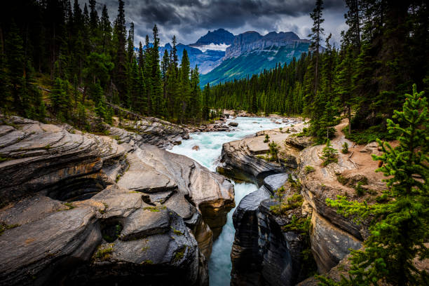 istock beautiful wild Sunwapta River in Alberta in Canada 2164455646
