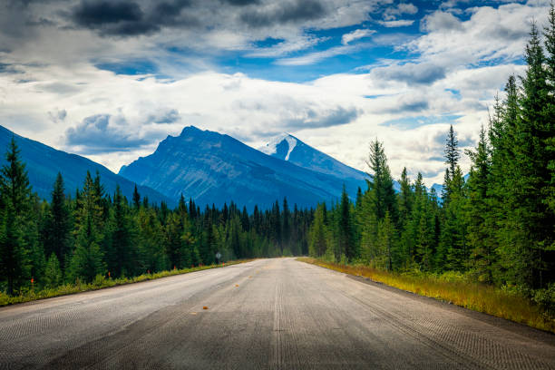 driving with a car on a mountain road in Alberta in Canada