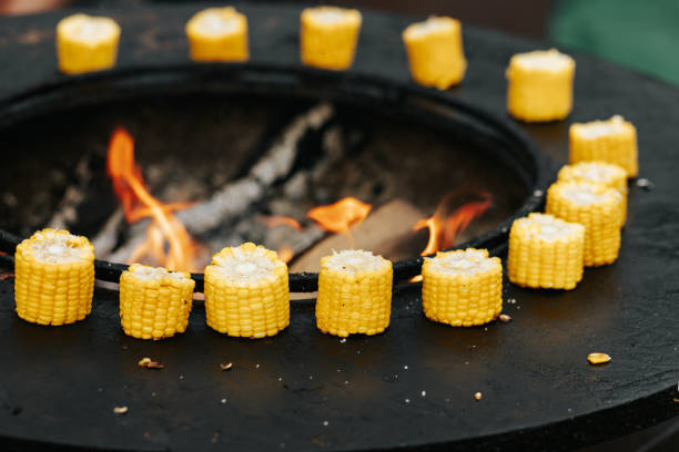 Grilled cut corn cobs on round stove with open fire outdoors, event cooking. Round steel iron fire pit hearth table with burning firewoods