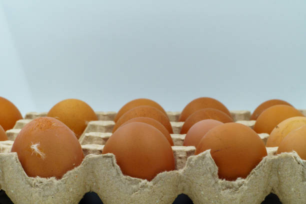 istock Brown chicken eggs in a carton. Eggshells have small blemishes and feathers, indicating a natural, farm-fresh origin. 2164459823