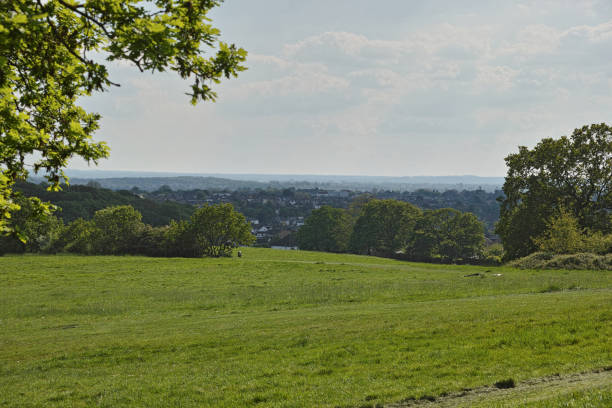 istock Oxleas Meadows in the Oxleas Wood 2164460895