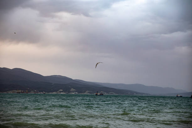 A kite surfer flies over vibrant blue waters with a stormy sky in the background, capturing the thrill of the sport.