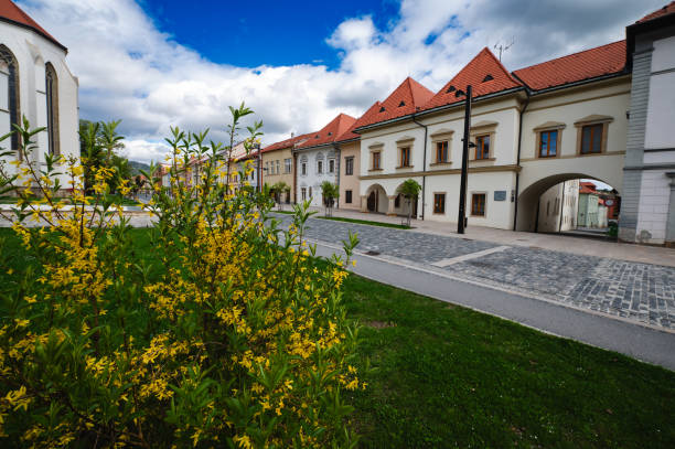 istock charming european town street 2164469712