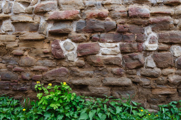 istock old stone wall with cracked plaster 2164469796