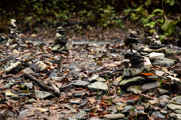 A tranquil and peaceful scene featuring carefully balanced stones set among vibrant, lush greenery and natures beauty