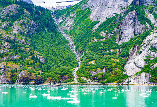 Glacier and Fjord