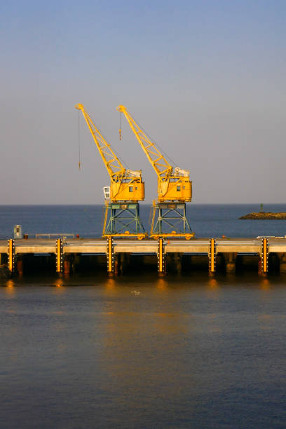 yellow dock cranes under the blue sea