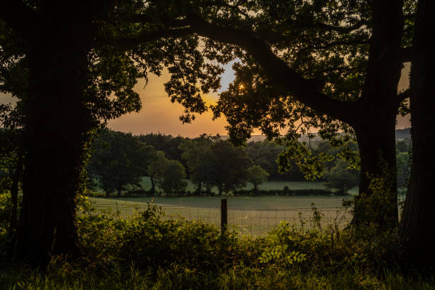 istock A rural Sussex view on a summer's evening 2164499316