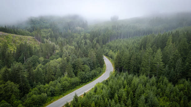 istock Vancouver Island Backroad 2164520787