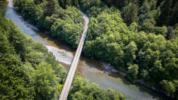 istock Vancouver Island Backroad 2164520843